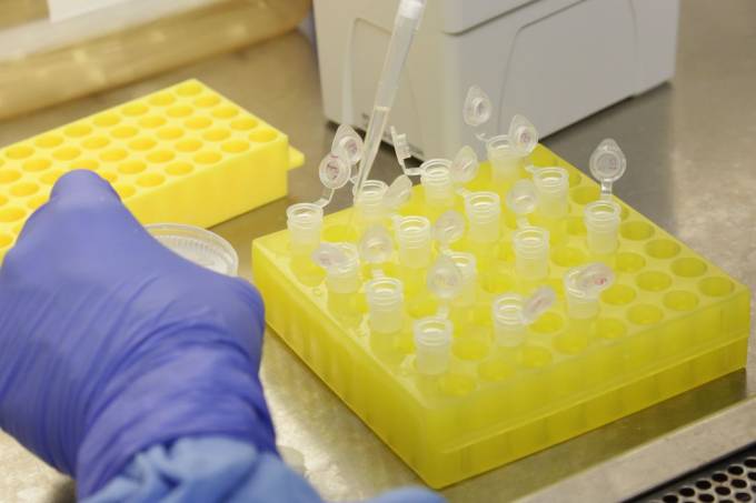 laboratorial_josuedamacena